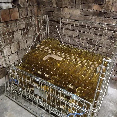 Na Sklepe U Spacira Apartament Velké Pavlovice